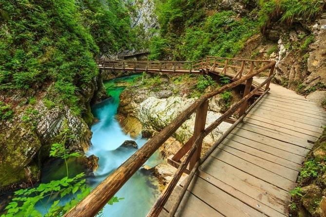 Apartma Ela Zgornje Gorje Buitenkant foto
