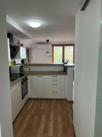 Apartma Ela Zgornje Gorje Buitenkant foto